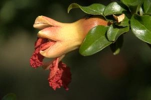 dsd_015341.jpg