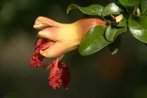 dsd_015342.jpg