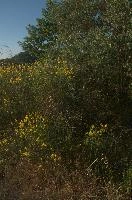 dsd_016502.jpg