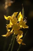 dsd_016622.jpg