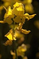 dsd_016632.jpg