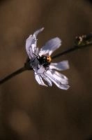dsd_016661.jpg