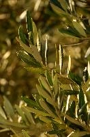 dse_022179_6066523_2023_09_10_18_37_51_92_02_00.jpg