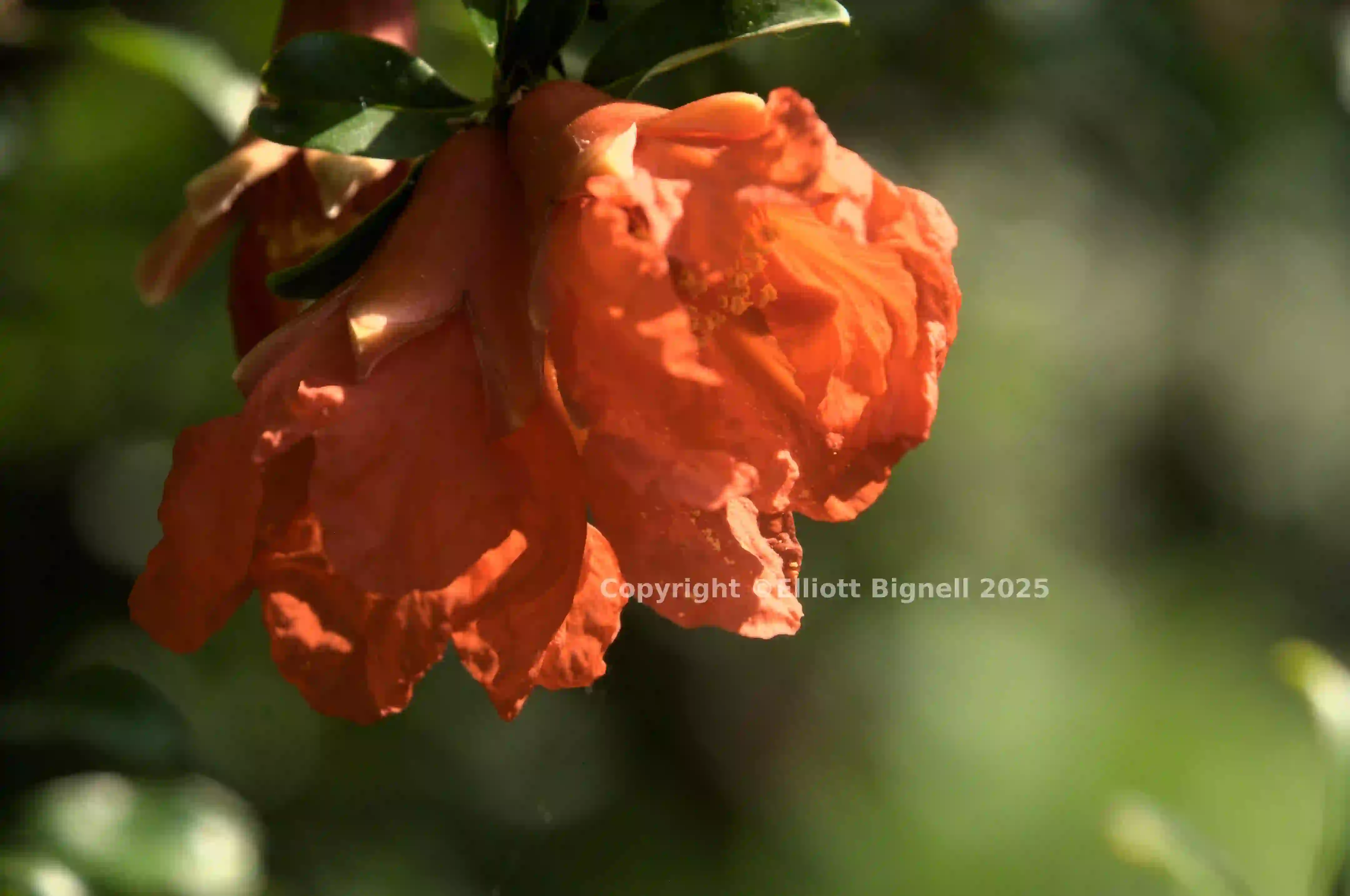 dsd_015329.jpg