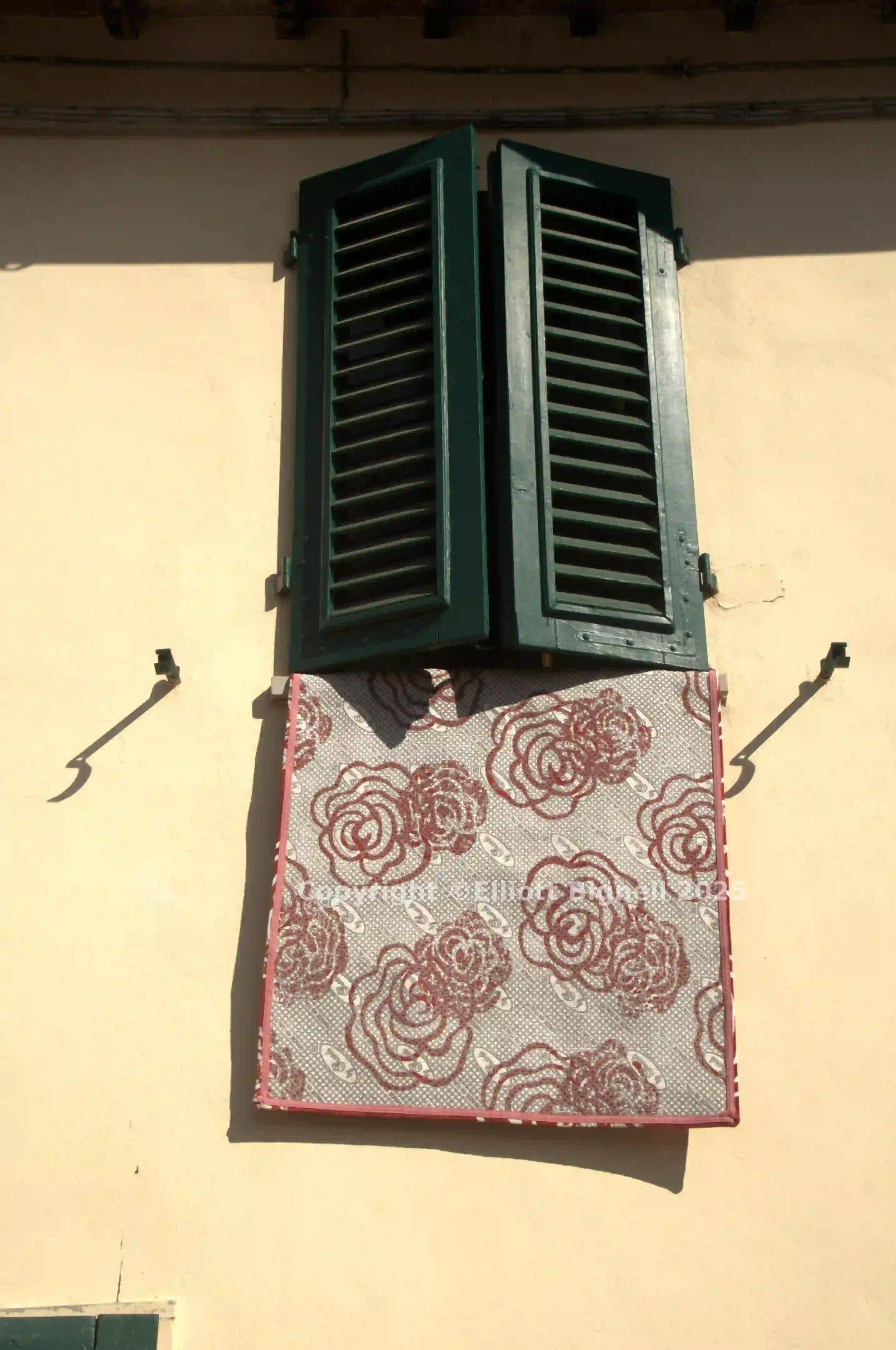 dsd_018125.jpg