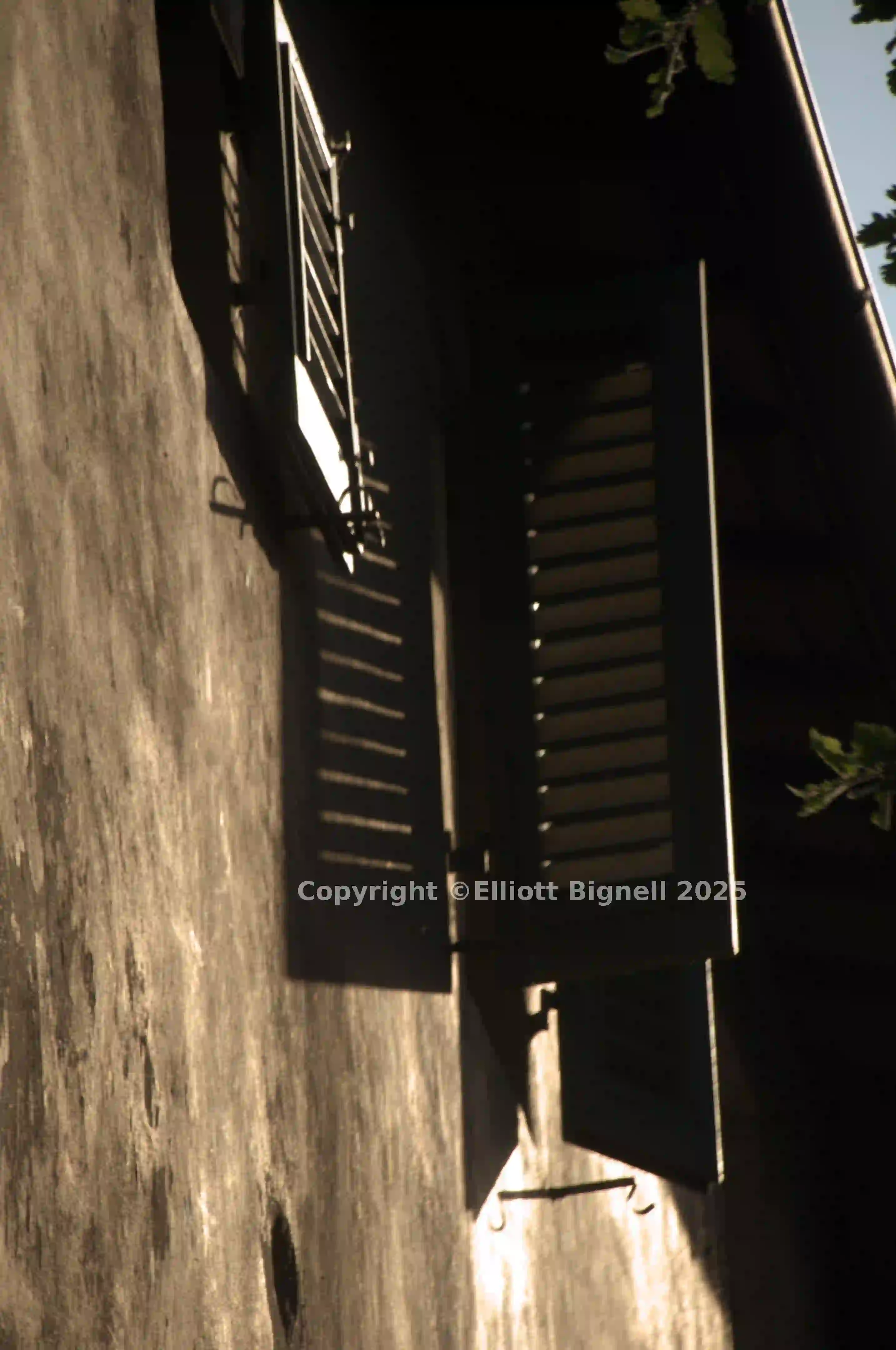 dsd_019107.jpg