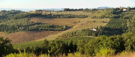 Agricultural landscape of Montespertoli in Lorence, Tuscany, mediterranean, europe, florence, tuscany, italy