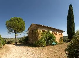Barn with Cypress and maritim pine in Montespertoli, Florence, Tuscany, mediterranean, europe, florence, tuscany, italy