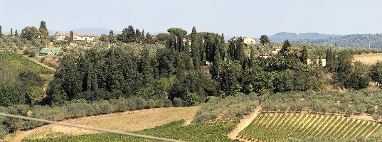 Agricultural landscape of Montespertoli in Florence, Tuscany, mediterranean, europe, florence, tuscany, italy