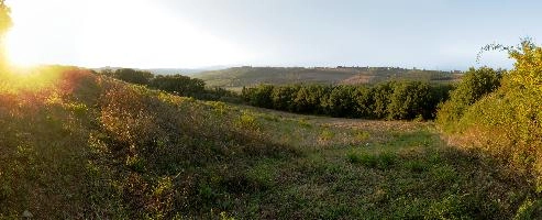 Agricultural landscape of Montespertoli, Florence in Tuscany, mediterranean, europe, florence, tuscany, italy