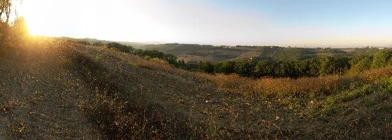 Agricultural landscape of Montespertoli, Florence in Tuscany, mediterranean, europe, florence, tuscany, italy