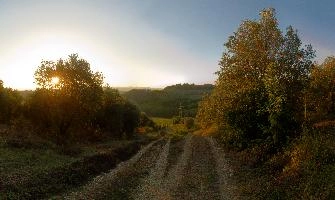 Dirt track in the Tuscan landscape at sunrise in Montespertoli, Florence, mediterranean, europe, florence, tuscany, italy