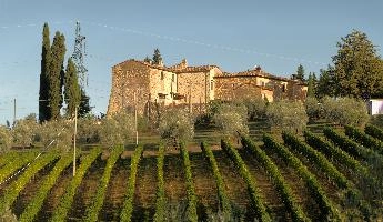 Farmstead with vineyard in Polvereto, Florence, Tuscany, landscape, vineyard, house, rustic, village, cypresses, polvereto, green, mediterranean, rural, europe, scenic, florence, outdoors, tuscany, light, italy, evening