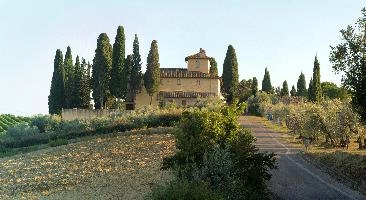 Farmhouse among olives in Montespertoli, Florence in Tuscany, mediterranean, europe, florence, tuscany, italy
