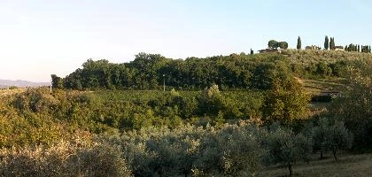 Agricultural landscape of Montespertoli, Florence in Tuscany, mediterranean, europe, florence, tuscany, italy