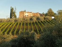 Farmstead with vineyard in rural Tuscany, Polvereto, Montespertoli, landscape, vineyard, house, rustic, village, cypresses, polvereto, green, mediterranean, rural, europe, scenic, florence, outdoors, tuscany, light, italy, evening