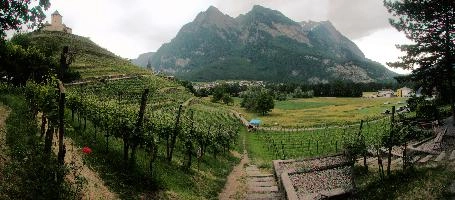 Liechtenstein, vaduz, summer, mountains, alps, field, schloss, balzers, switzerland, agriculture, europe, gutenberg, liechtenstein, vines, alpine, vineyard, scenery, greem