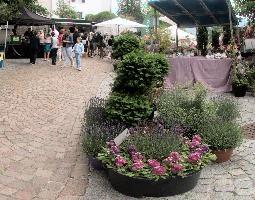 Flower Market in Liechtenstein , vaduz, summer, market, flower, gutenberg, plants, schloss, switzerland, garden, europe, sal, liechtenstein, square, display, balzers, castle, cobbled