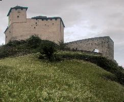 Vaduz Castle, vaduz, summer, agriculture, alpine, field, meadow, balzers, switzerland, greem, europe, flag, liechtenstein, red, scenery, painted, walls, garden, mountains, alps, gutenberg, schloss, wooden, models