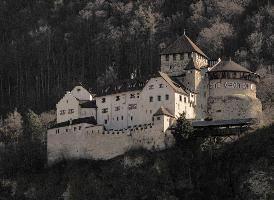 Vaduz Castle in Liechtenstein, fortification, tower, forest, hillside, alps, mountain, castle, duchy, vaduz, duke, liechtenstein, home, europe, stately