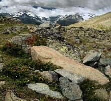 dsc_227358-dsc_227363.jpg