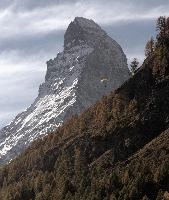 Matterhorn and Paraglider, zermatt, autumn, forest, alps, matterhorn, europe, foliage, switzerland, valais, colour, woods, peak, hiking, outdoors