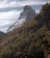 Matterhorn, zermatt, autumn, forest, alps, matterhorn, europe, foliage, switzerland, valais, colour, woods, peak, hiking, outdoors