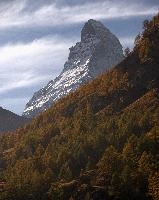 Matterhorn, zermatt, autumn, forest, alps, matterhorn, europe, foliage, switzerland, valais, colour, woods, peak, hiking, outdoors