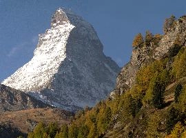 Matterhorn, alps, peak, foliage, autumn, matterhorn, europe, mountain, switzerland, zermatt, forest, colour