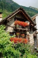Geraniums in Sonogno, valle, flowers, alps, pelargoniums, village, italian, sonogno, rustici, ticino, locarno, stone, mountains, schweiz, italianate, alpine, versasca, picturesque, buildings, daylight, sunny, tourism, traditional, red, geraniums, rural, rustic, sunshine, summer