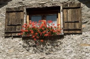 Geraniums in Sonogno, valle, flowers, alps, pelargoniums, village, italian, sonogno, rustici, ticino, locarno, stone, mountains, schweiz, italianate, alpine, versasca, picturesque, buildings, daylight, sunny, tourism, traditional, red, geraniums, rural, rustic, sunshine, summer