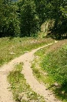 dsc_223177.jpg