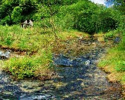 Idyll, valle, river, italian, woods, rural, stream, ticino, water, schweiz, outdoors, versasca, vegetation, hiking, walking, mountains, switzerland, nature, countryside