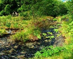 Idyll, valle, river, italian, woods, rural, stream, ticino, water, schweiz, outdoors, versasca, vegetation, hiking, walking, mountains, switzerland, nature, countryside