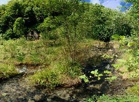 Idyll, valle, river, italian, woods, rural, stream, ticino, water, schweiz, outdoors, versasca, vegetation, hiking, walking, mountains, switzerland, nature, countryside