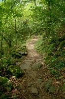 dsc_223719.jpg