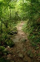 dsc_223722.jpg