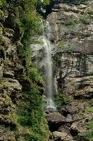 dsc_224611.jpg