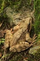 dsc_241743.jpg