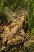 dsc_241744.jpg