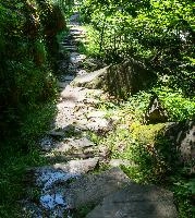 mantiuk_4996-mantiuk_4999.jpg
