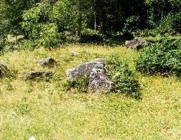mantiuk_5209-mantiuk_5214.jpg