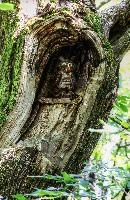 Carved owl in the Valle Versasca. Ticino, valleversasca, ticino, valle, tessin, italian, swiss, switzerland, europe, versasca, lavertezzo