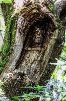 Carved owl in the Valle Versasca. Ticino, valleversasca, ticino, valle, tessin, italian, swiss, switzerland, europe, versasca, lavertezzo