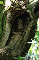 Carved owl in the Valle Versasca. Ticino, valleversasca, ticino, valle, tessin, italian, swiss, switzerland, europe, versasca, lavertezzo