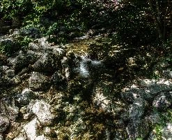 mantiuk_5289-mantiuk_5295.jpg