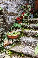 Decorated steos in the Valle Versasca, Ticino, valleversasca, ticino, valle, tessin, italian, swiss, switzerland, europe, versasca, lavertezzo