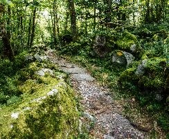 mantiuk_5367-mantiuk_5373.jpg