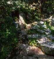 mantiuk_5769-mantiuk_5772.jpg