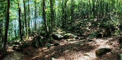 mantiuk_6537-mantiuk_6552.jpg